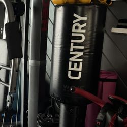 Century Original Wave Master Heavy Punching Bag 