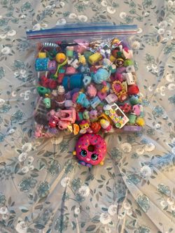 Gallon size zip lock full of shopins and shophin furniture