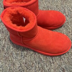 Women’s Mini Uggs Boots