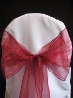 Red Apple Organza Sashes