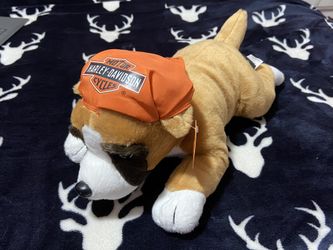 “Rumble” The Harley Davidson Boxer