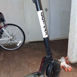 Gotrax Electric Scooter