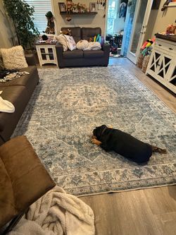 Tumble Area Rug Vintage 9x12