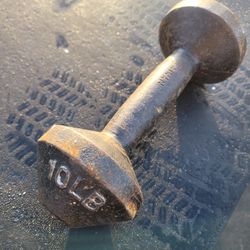 10lb Dumbbell 