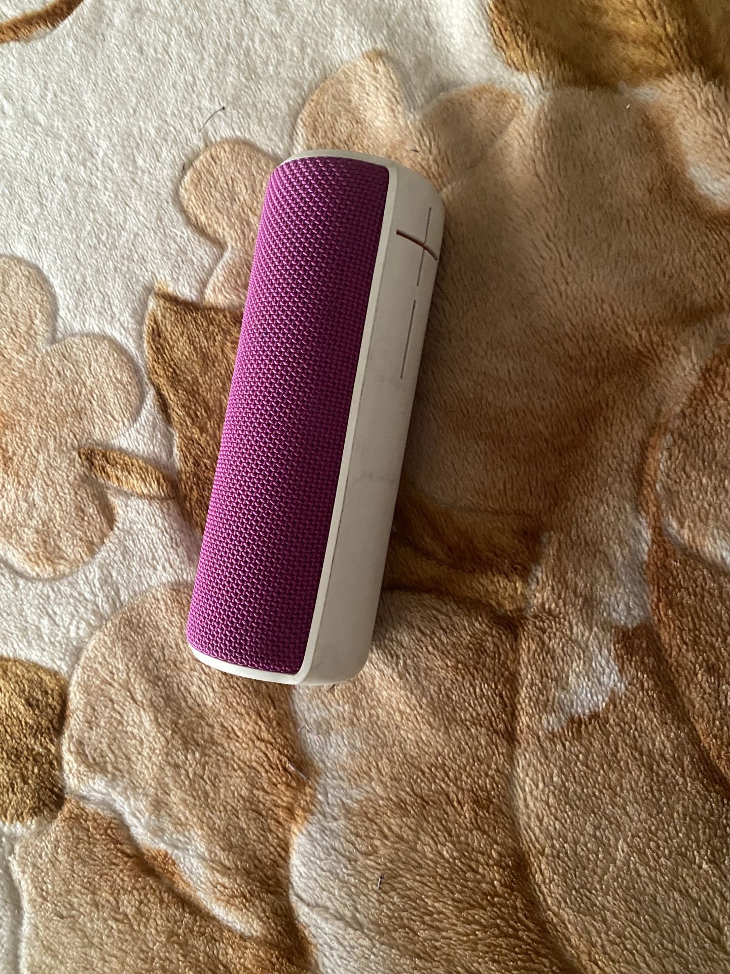 Ultimate Ears Speaker