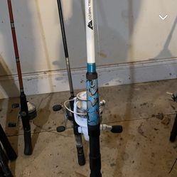 SRIT Stick catfish pole 