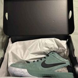 Nike Kobe  4 ProtoGirl Dad