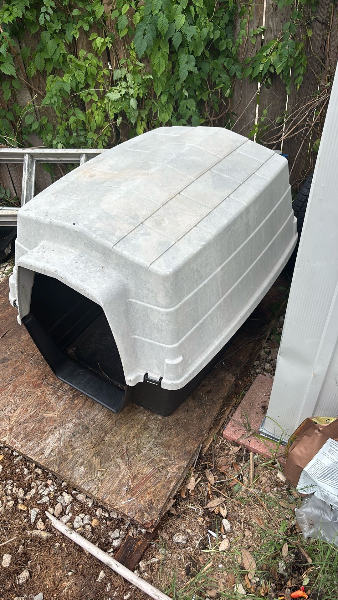 Dog House