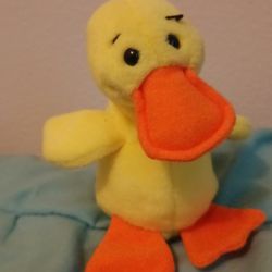 Ty Beanie Babies - Quackers the Duck