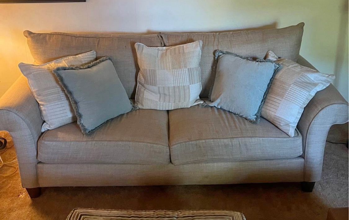 Grey Living Room couch & Pillows - will Deliver And Move In For You 
