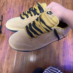Nike Brown Nike Retro SE Dunk