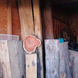 Live Edge Lumber