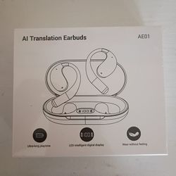 Ai Translation Earbuds 