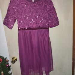 Purple Dress New Size XL 14 -16