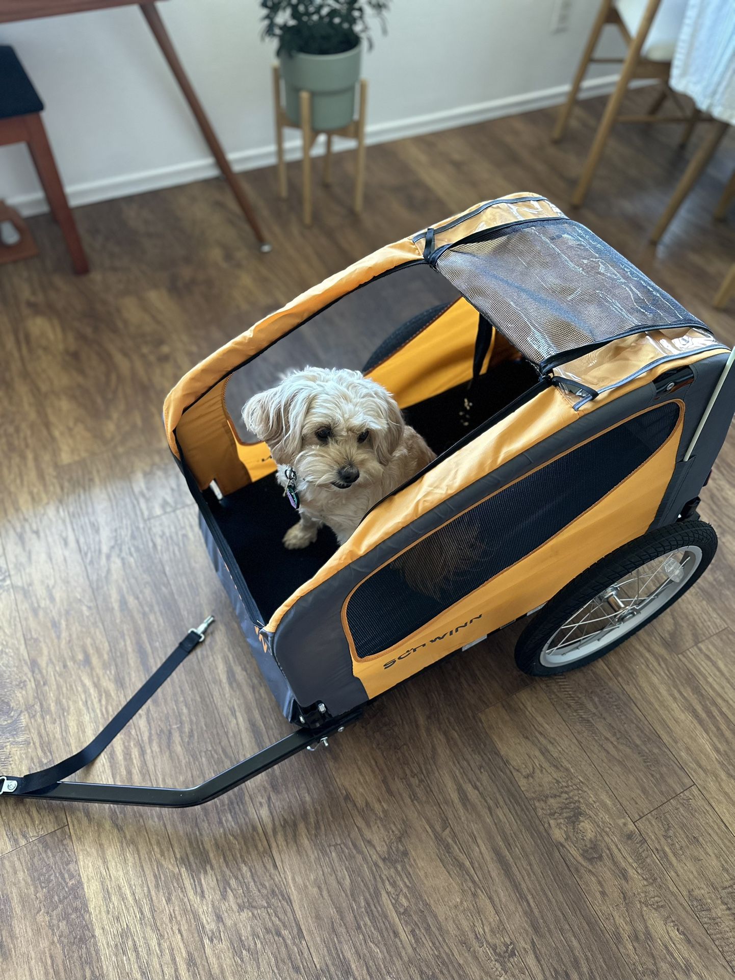 Schwinn Rascal Bike Pet Trailer
