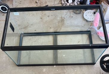 fish tank