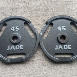 Pair of 45 lbs Olympic Weight Plates (2 In) 