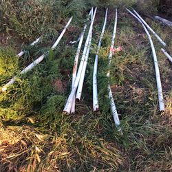 20 Foot Fencing Posts
