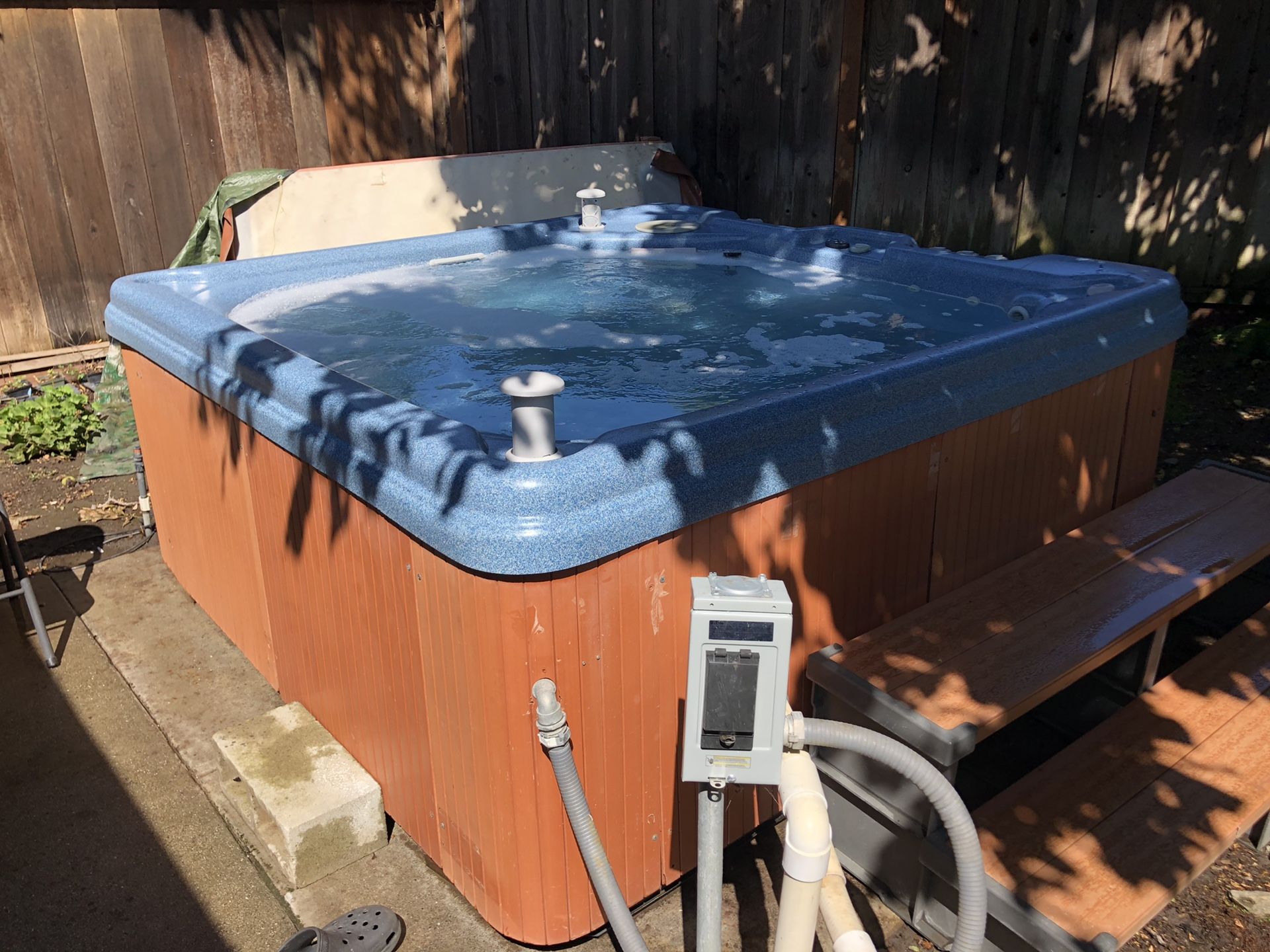 Aeware Hot Tub with Radio