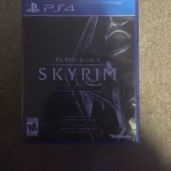 SKYRIM: The Elder Scrolls V (special Edition)