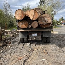 Dump Truck Load Of Firewood Logs