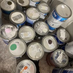 New Paint