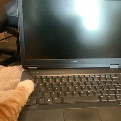 Dell Latitude Computer