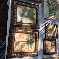 Collection pictures