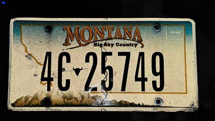 Montana plate