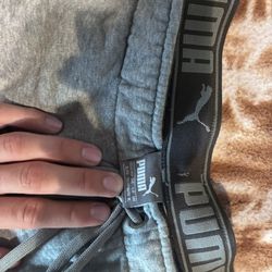 Gray Puma Sweats