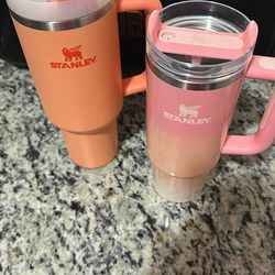 Both Stanley 40 & 30 Oz
