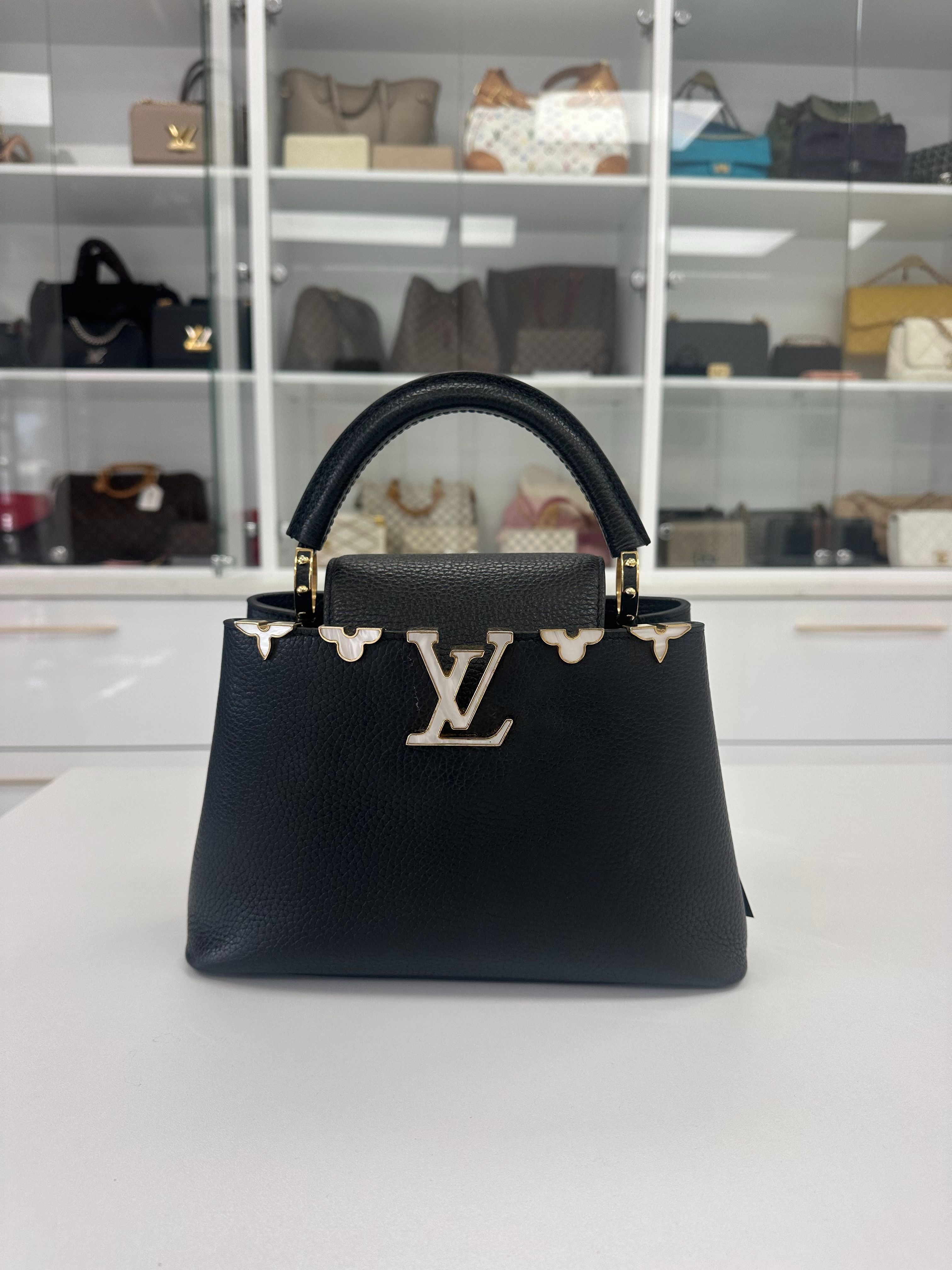 Louis Vuitton Capucines Handbag