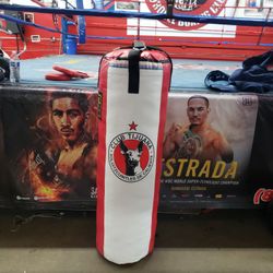 Punching Bag 