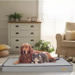 BingoPaw 2 Extra Large Dog Bed Orthopedic Sponge with Washable Cover