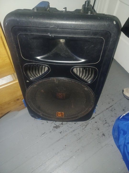 Mr .dj Speaker