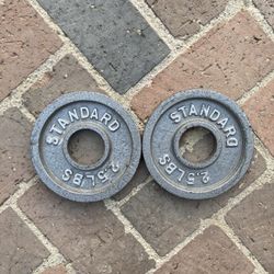 2.5lb Olympic Iron Weight Plate Pair