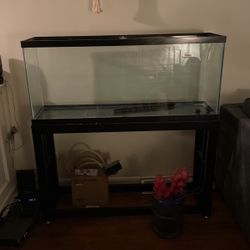 55 Gallon Fish Tank W Stand And Accessories