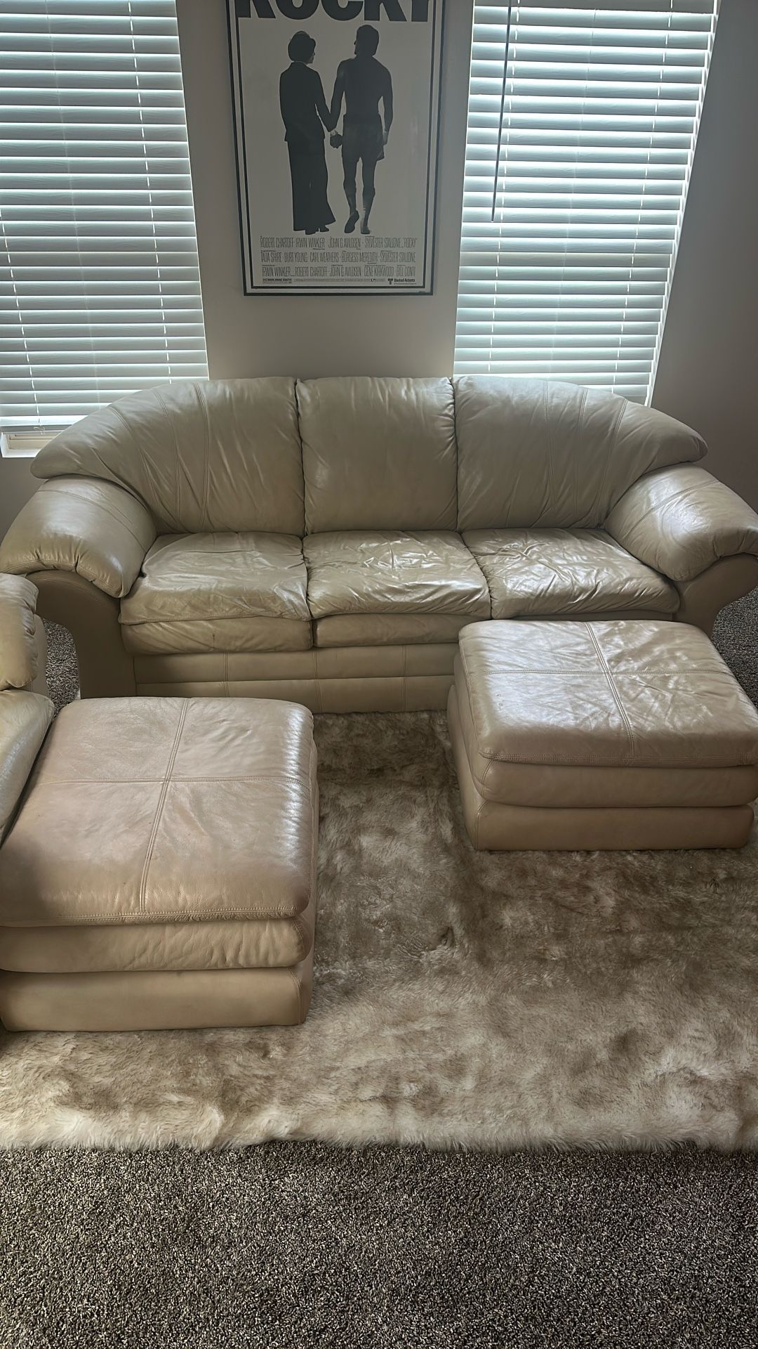 Leather Couch Set