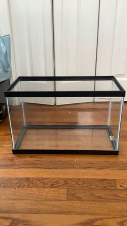 Terrarium