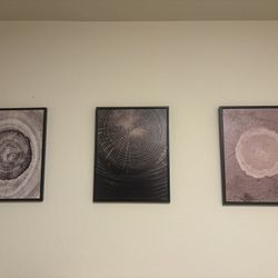 Set Of 3 Framed Canvas Wall Art Painted Tree Rings