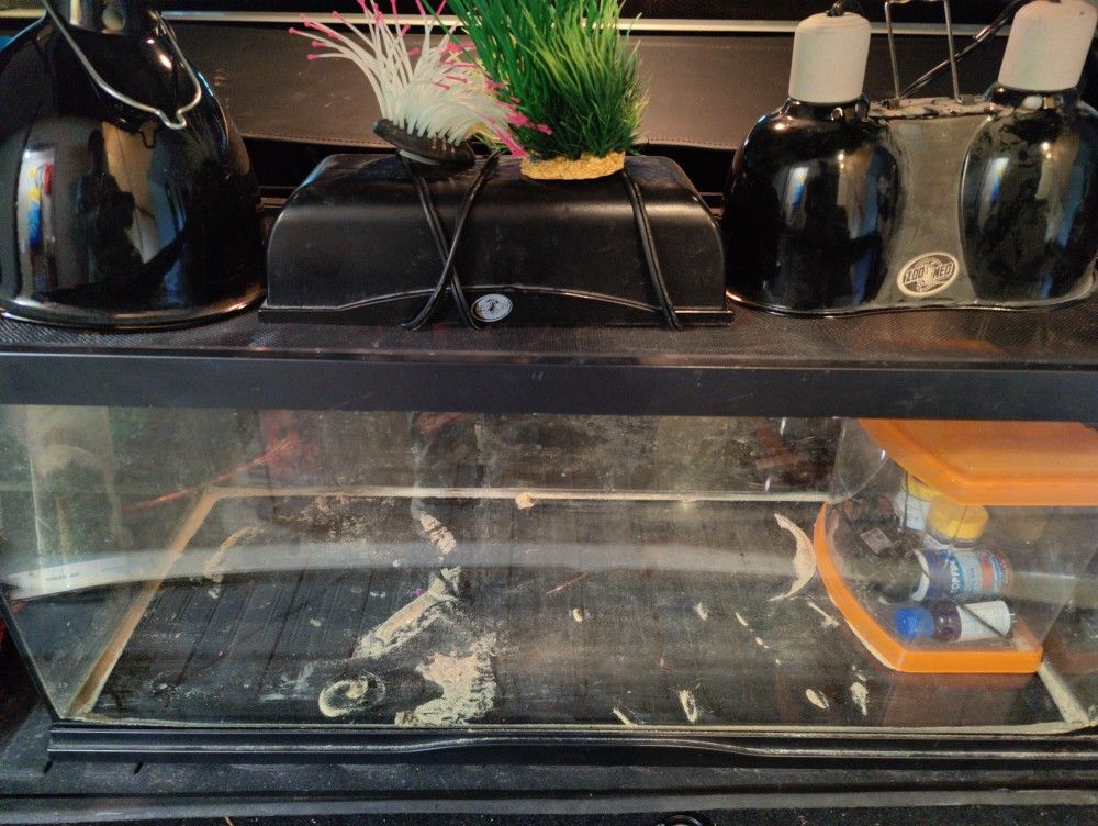 20 Gallon With Fixtures, Wallpaper, Small Tank