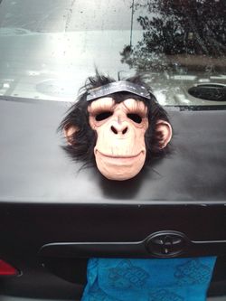 Chimp Monkey Halloween Costume Mask