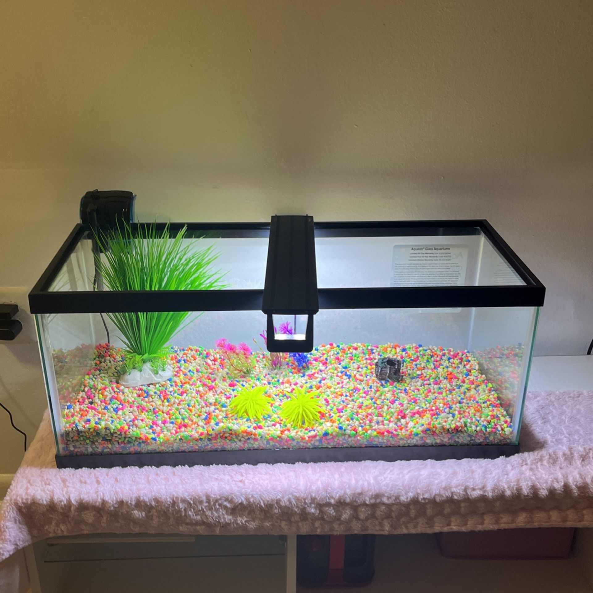 20 Gallon Long Fish Tank