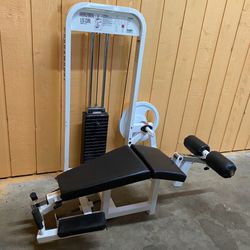 Lying hamstring curl machine for 2025 sale