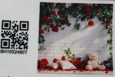Kate White Brick Wall Backdrop Red Roses Teddy Bear 10x10