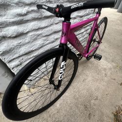 Fixie throne