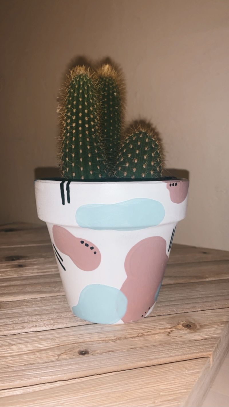 Painted Terracotta Flower Pot