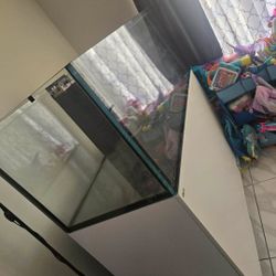 Red Sea Reef Tank 165 Gal.