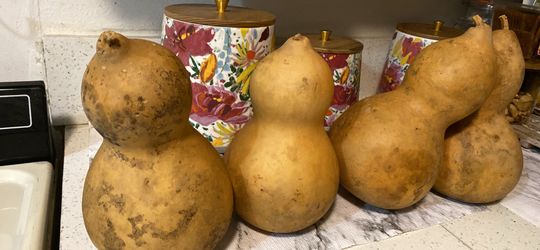 Vintage Decor