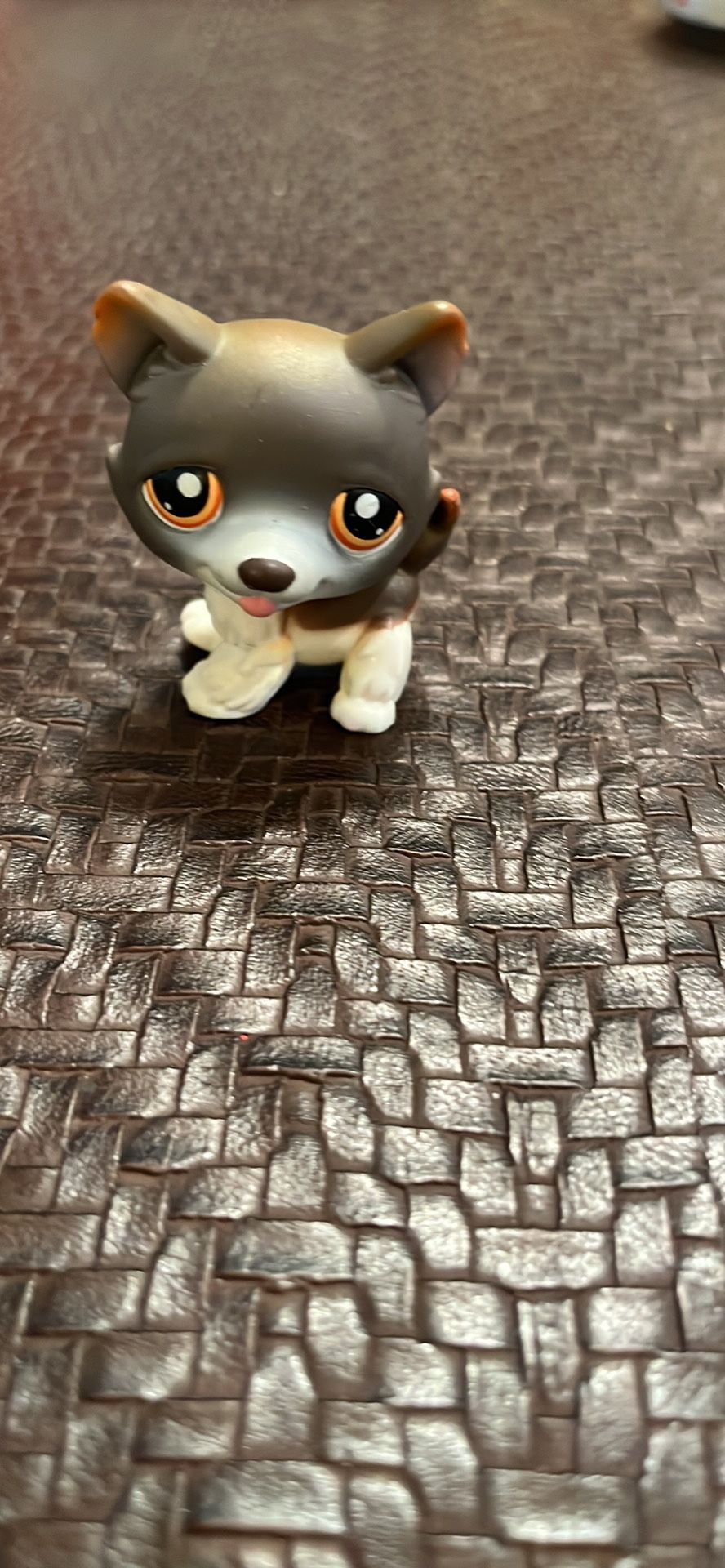Littlest Pet Shop 174 Brown and Black Husky